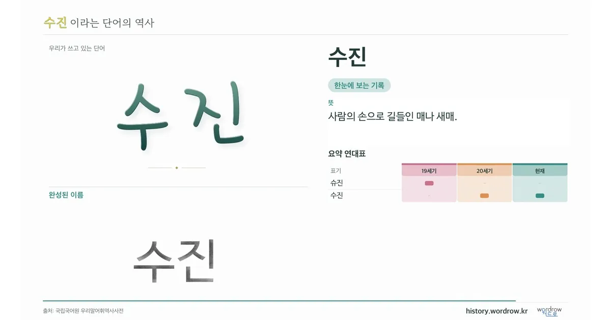 수진 대표 이미지