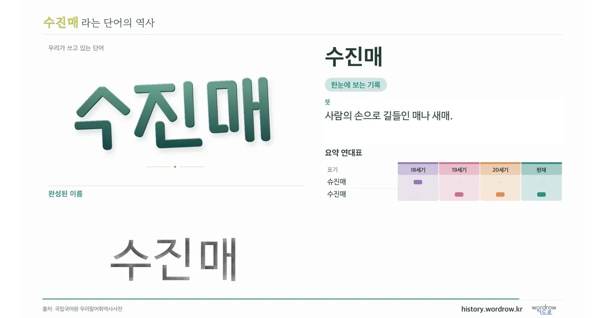 수진매 대표 이미지