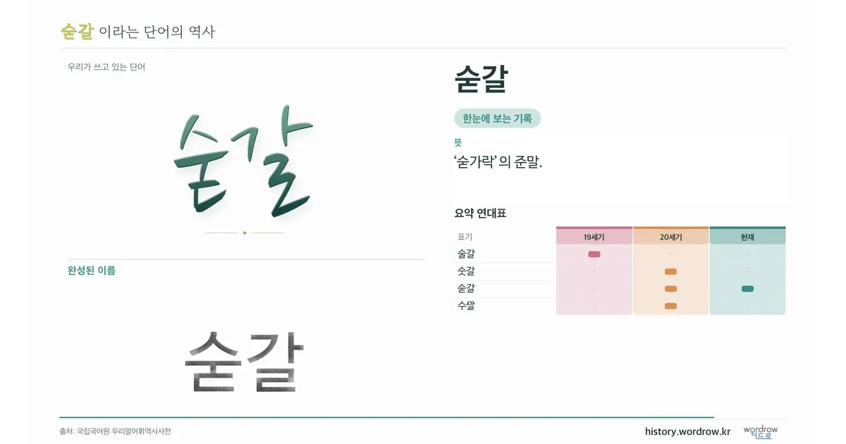 숟갈 대표 이미지