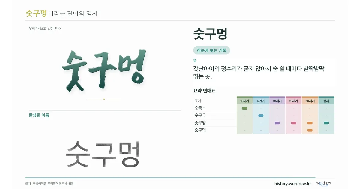 숫구멍 대표 이미지