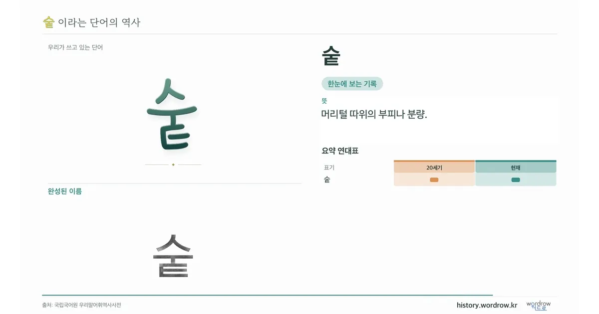 숱 대표 이미지