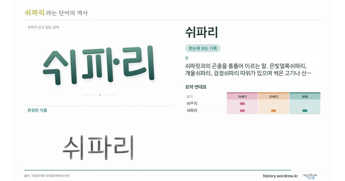 쉬파리 대표 이미지