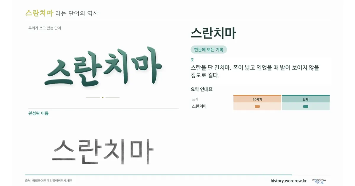 스란치마 대표 이미지