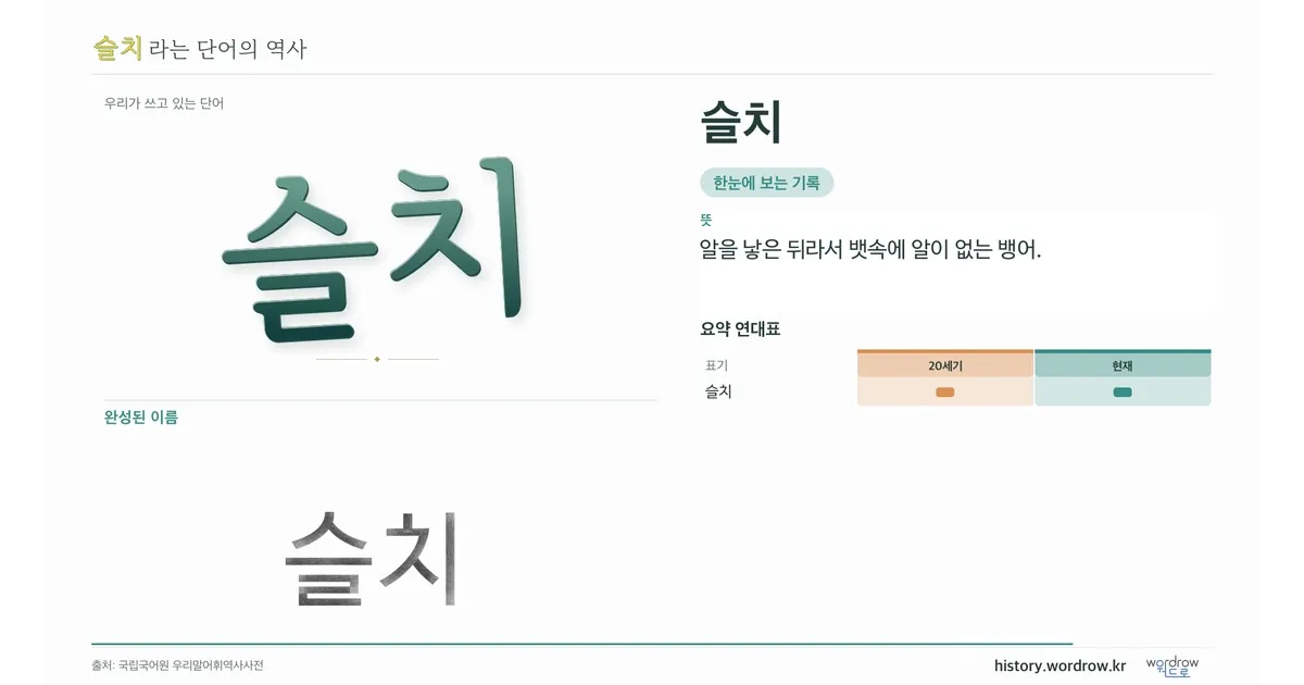 슬치 대표 이미지
