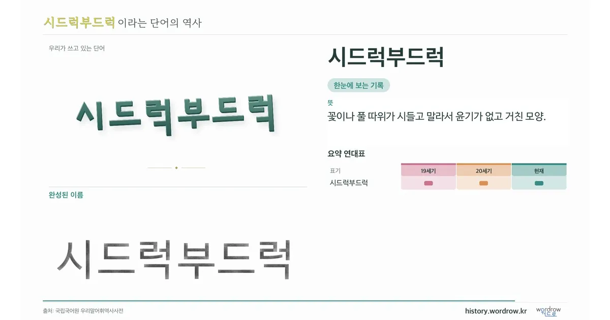 시드럭부드럭 대표 이미지