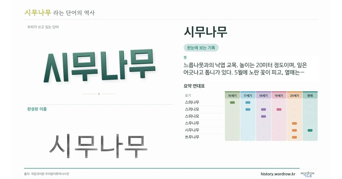 시무나무 대표 이미지