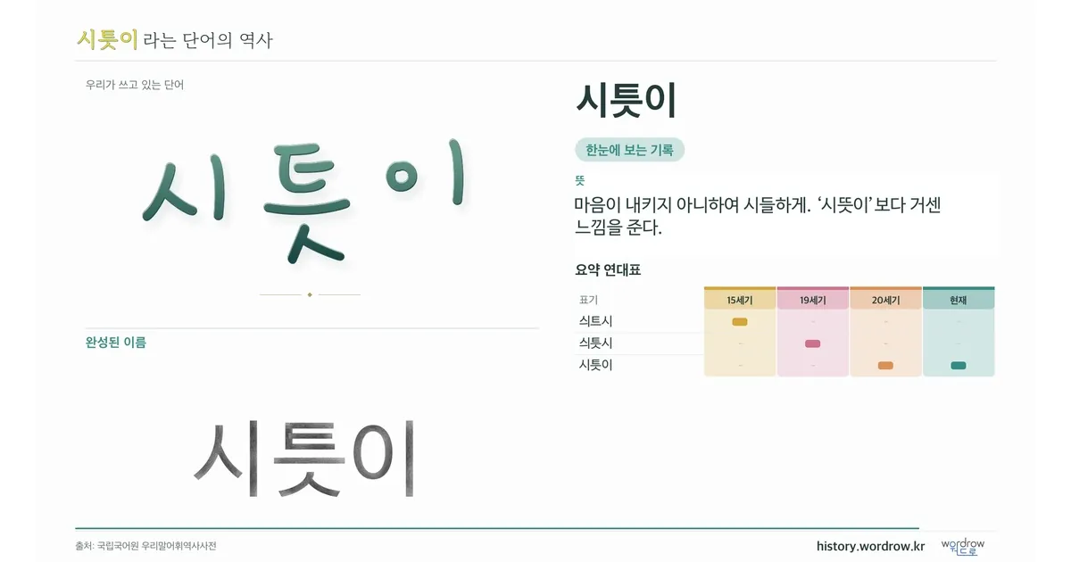 시틋이 대표 이미지
