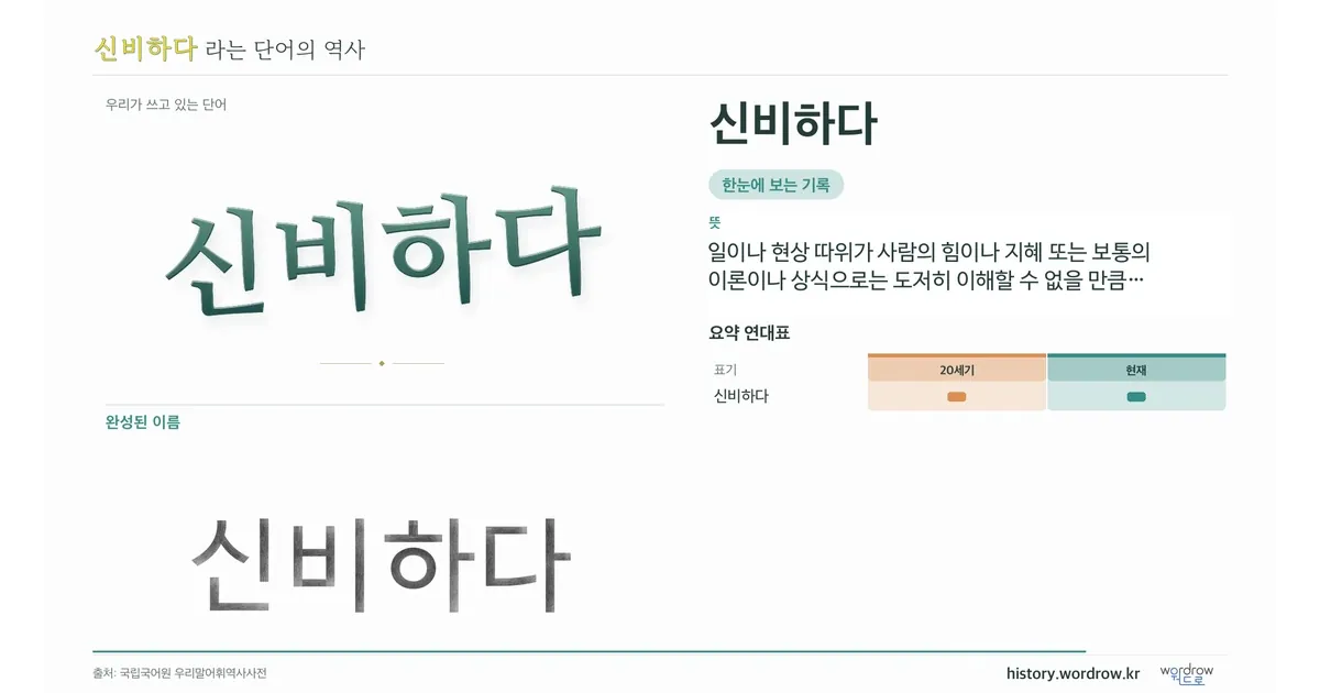 신비하다 대표 이미지