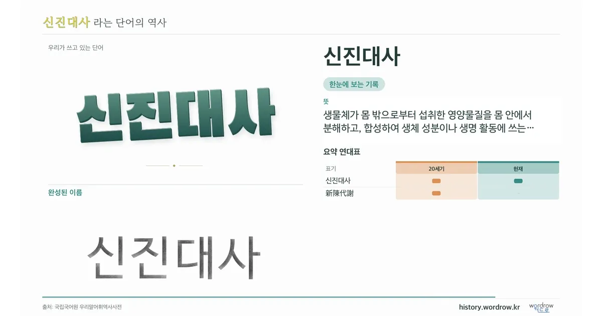신진대사 대표 이미지