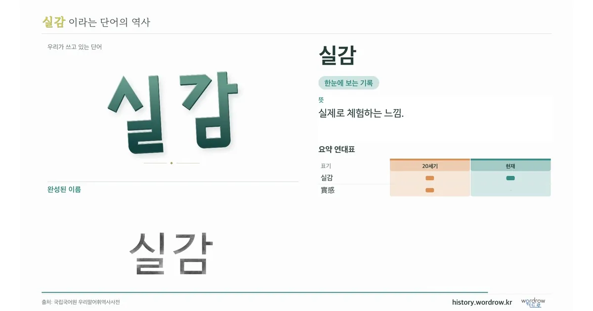 실감 대표 이미지