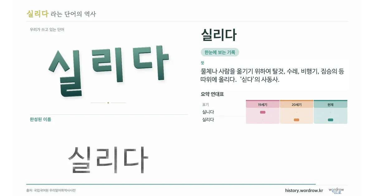 실리다 대표 이미지
