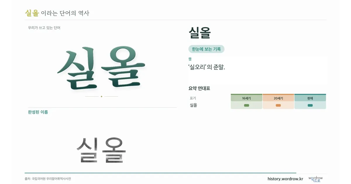 실올 대표 이미지
