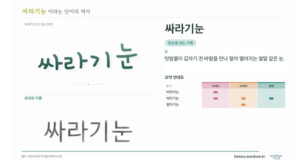 싸라기눈 대표 이미지