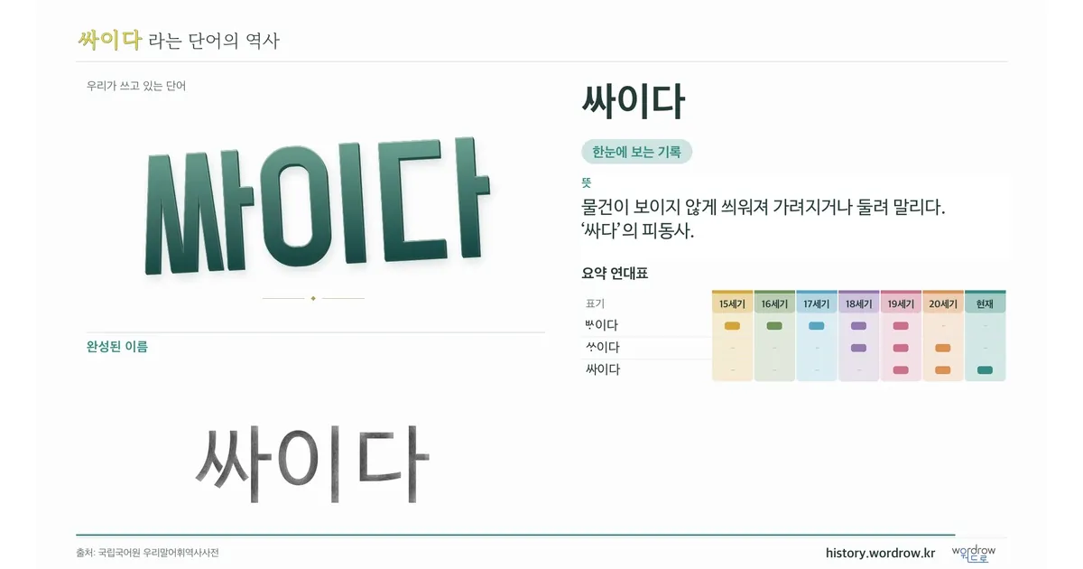 싸이다 대표 이미지