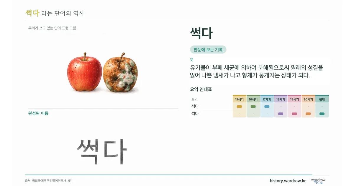 썩다 대표 이미지