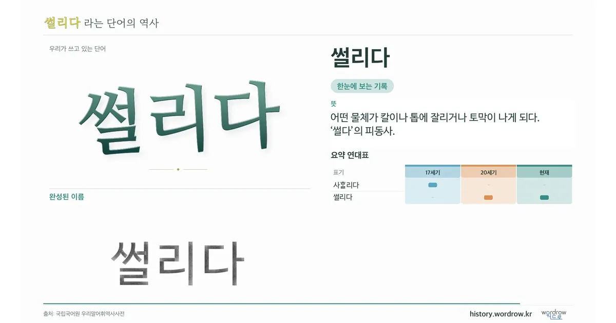 썰리다 대표 이미지
