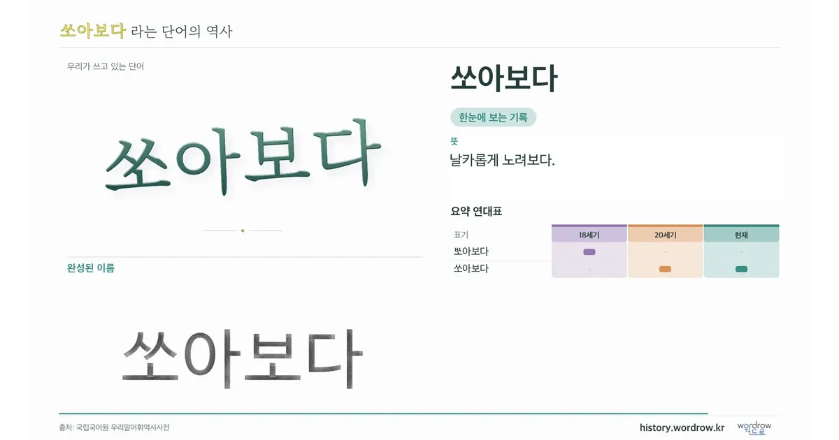 쏘아보다 대표 이미지