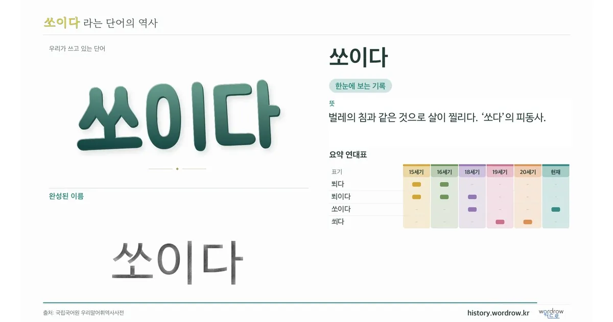 쏘이다 대표 이미지