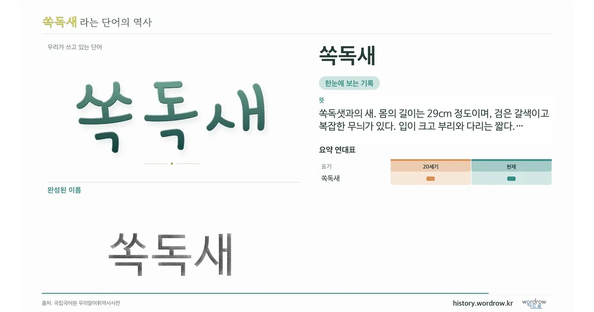 쏙독새 대표 이미지