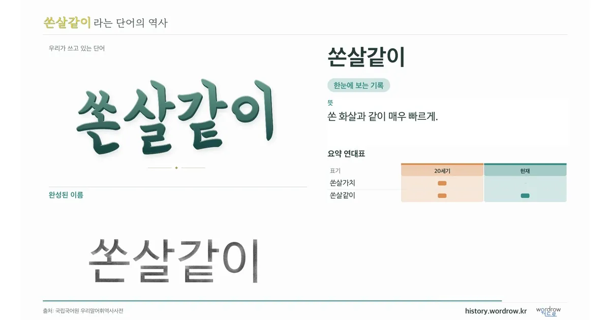 쏜살같이 대표 이미지