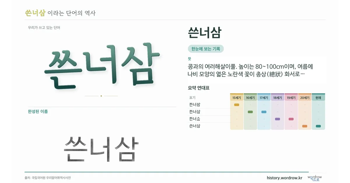 쓴너삼 대표 이미지