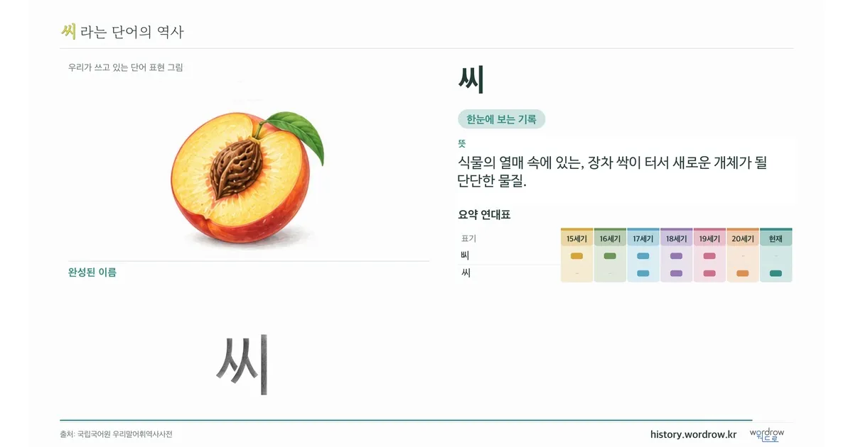 씨 대표 이미지