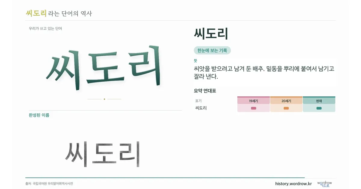 씨도리 대표 이미지