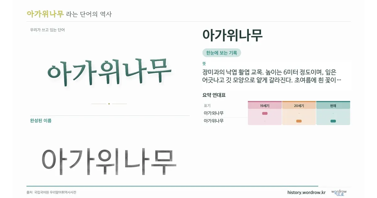 아가위나무 대표 이미지