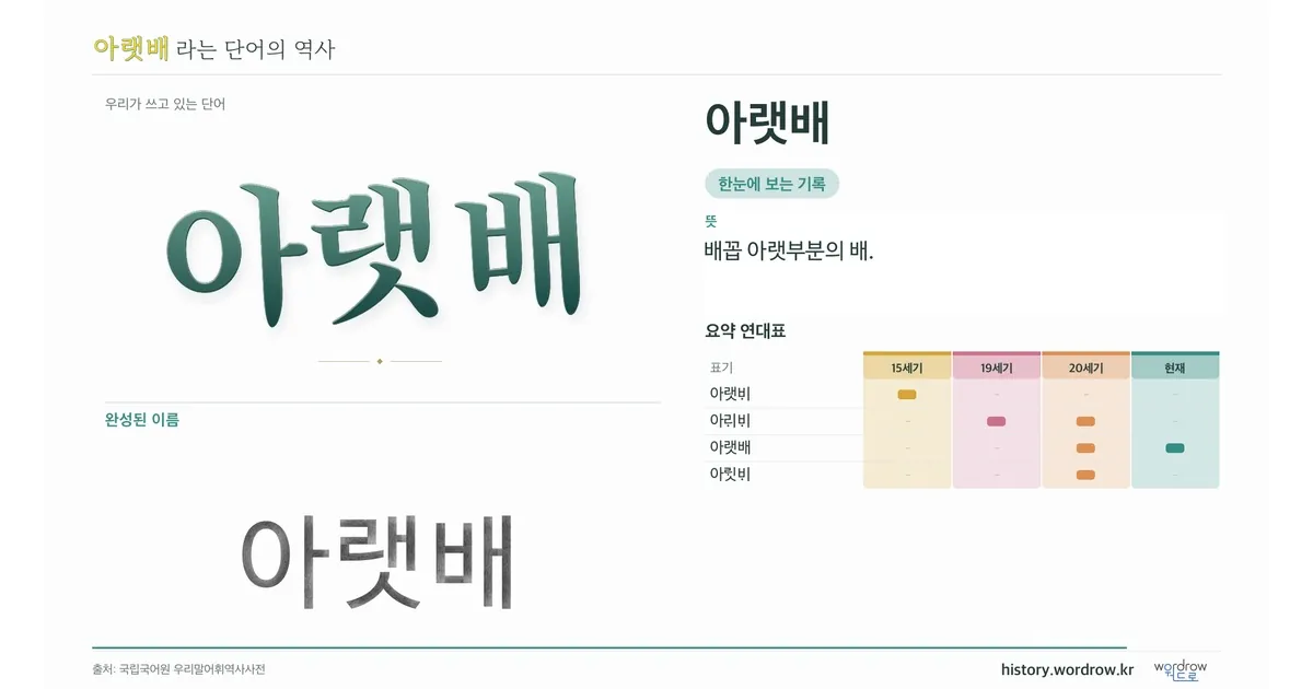 아랫배 대표 이미지