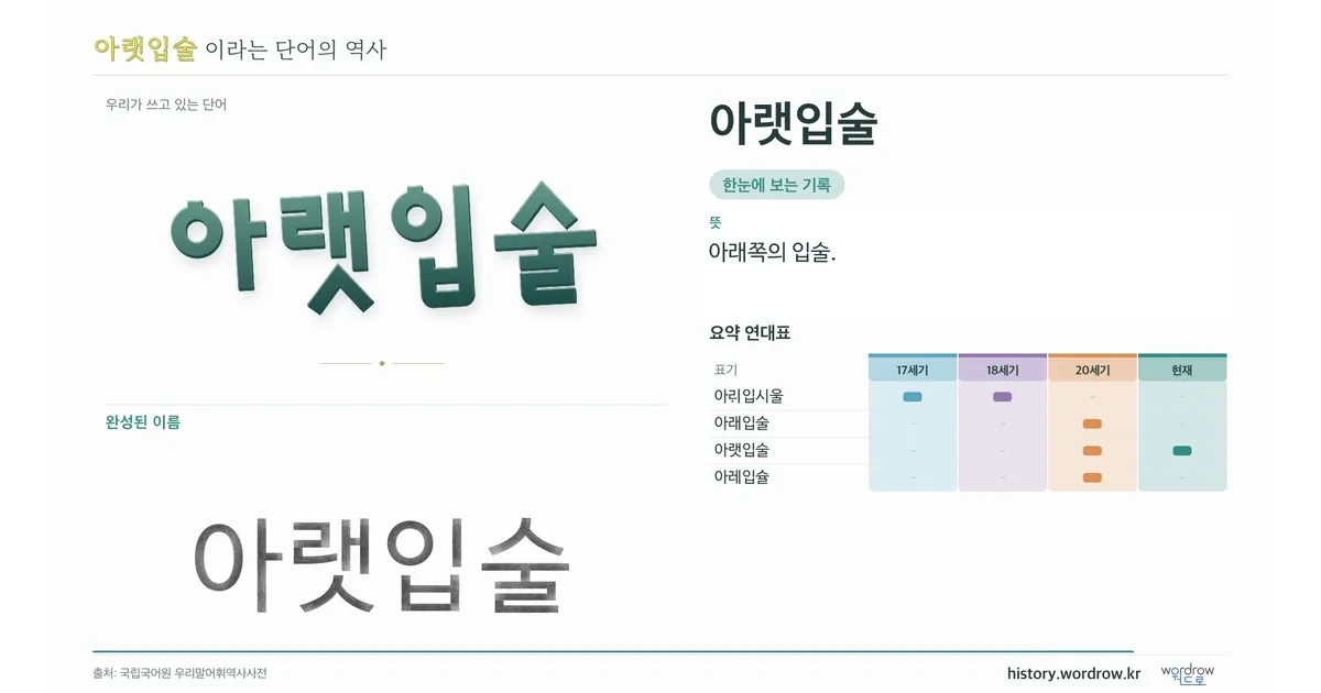 아랫입술 대표 이미지