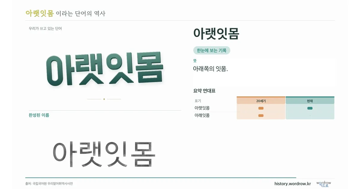 아랫잇몸 대표 이미지