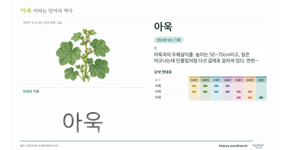 아욱 대표 이미지