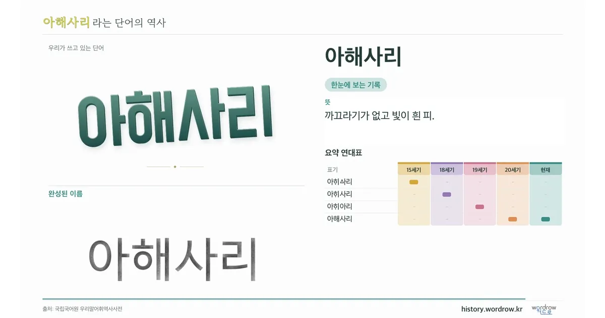 아해사리 대표 이미지