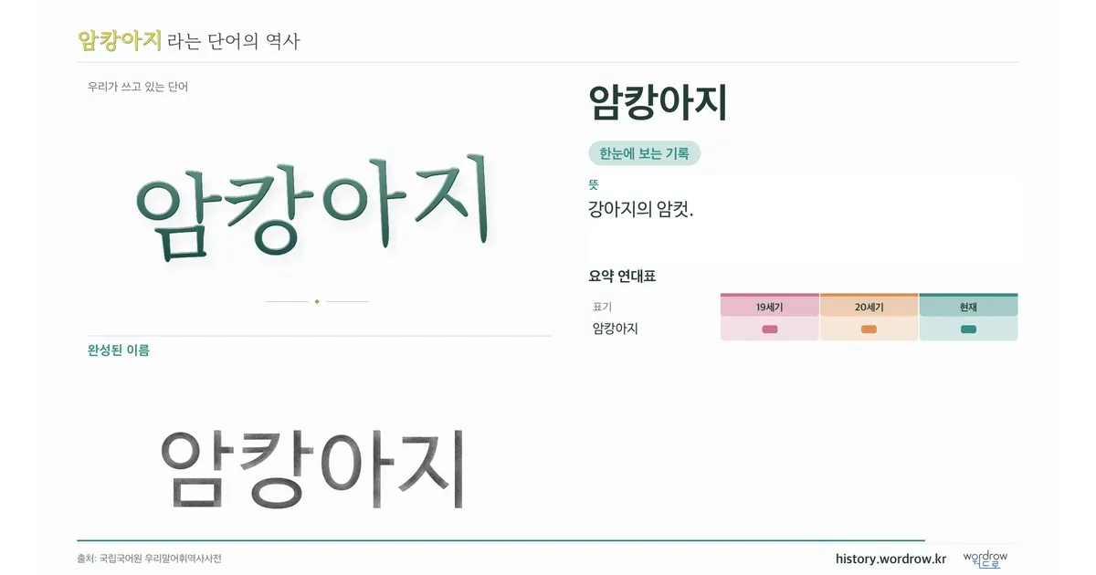 암캉아지 대표 이미지
