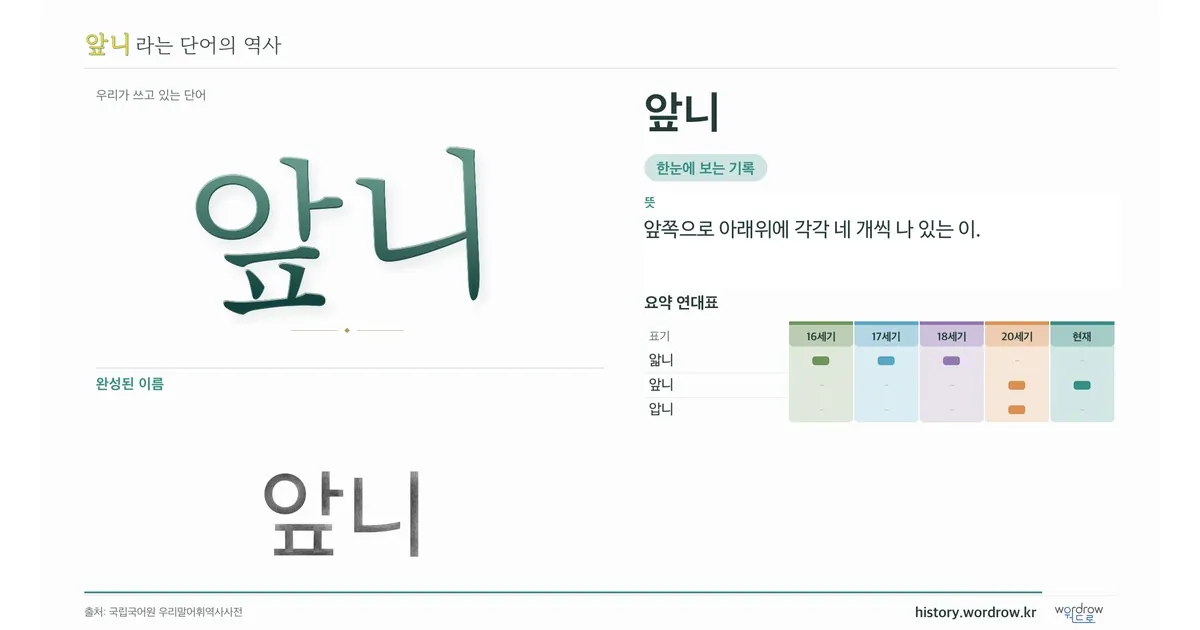 앞니 대표 이미지
