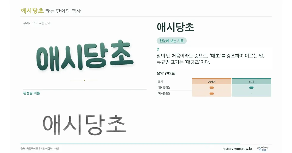 애시당초 대표 이미지