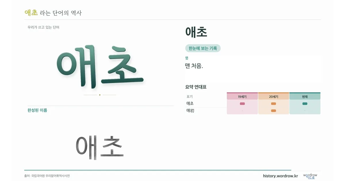 애초 대표 이미지