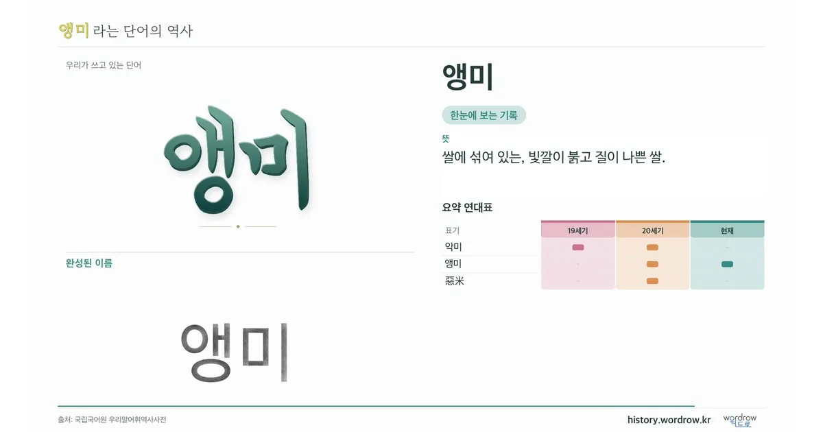 앵미 대표 이미지