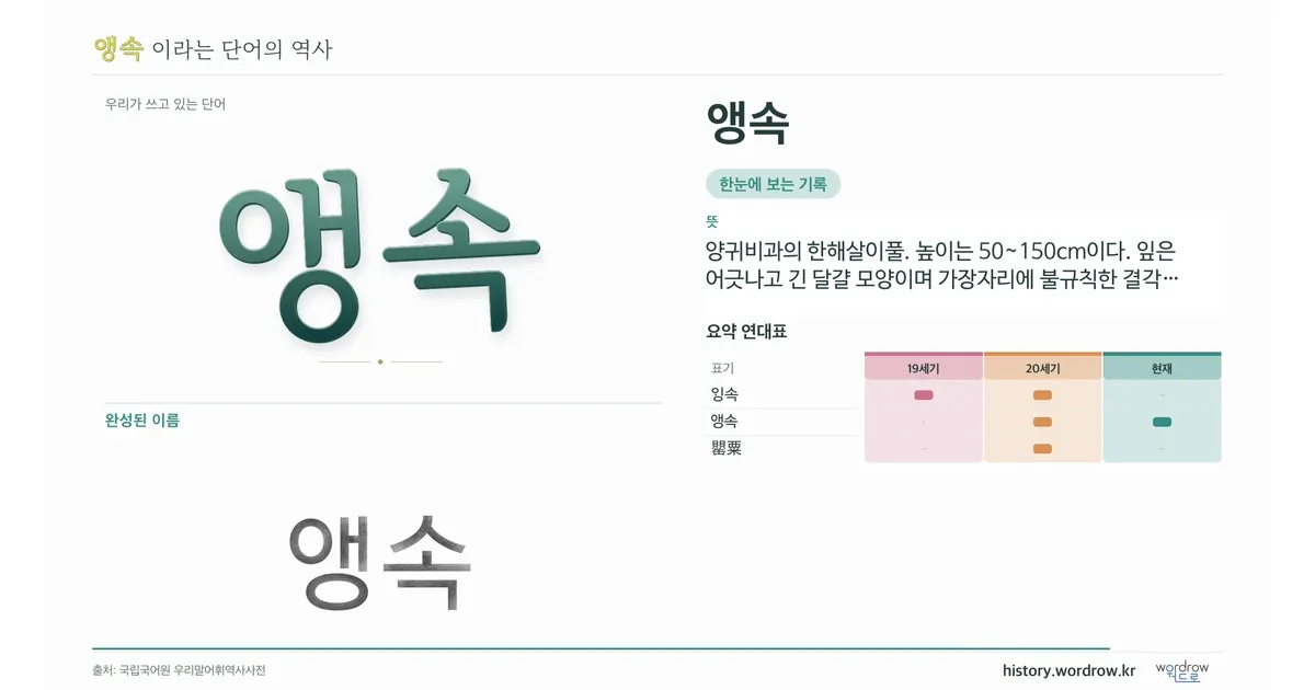 앵속 대표 이미지