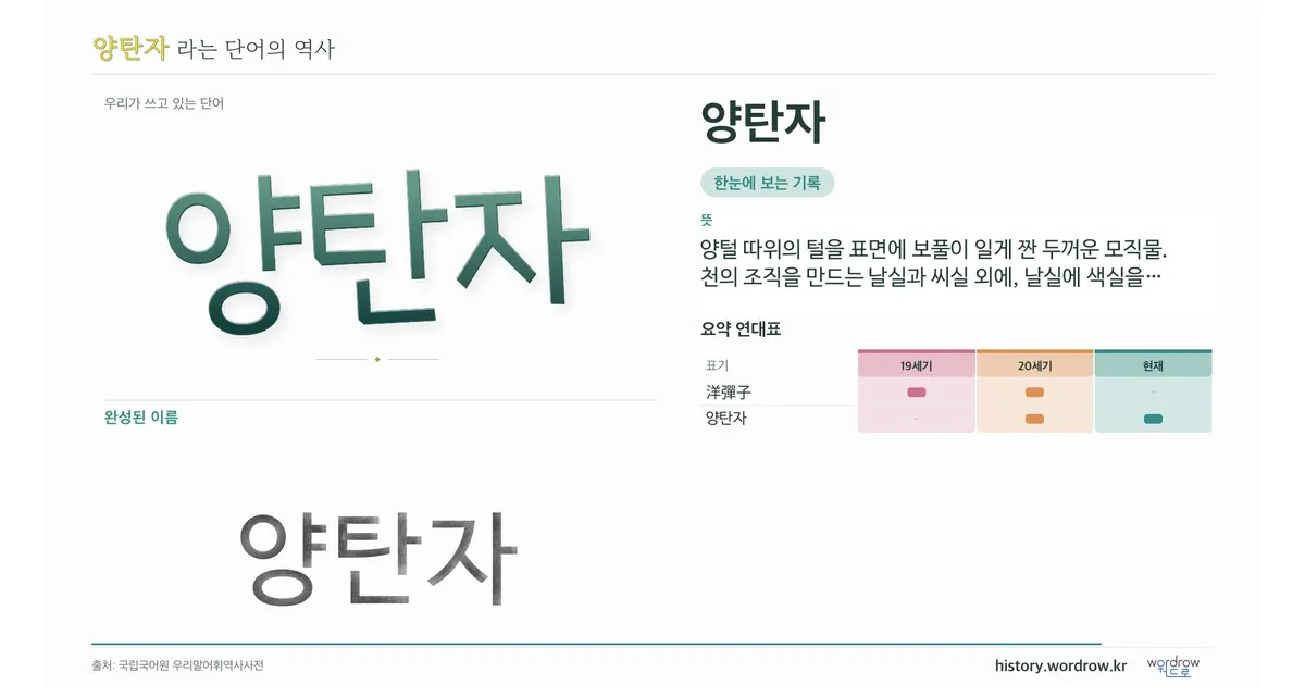 양탄자 대표 이미지