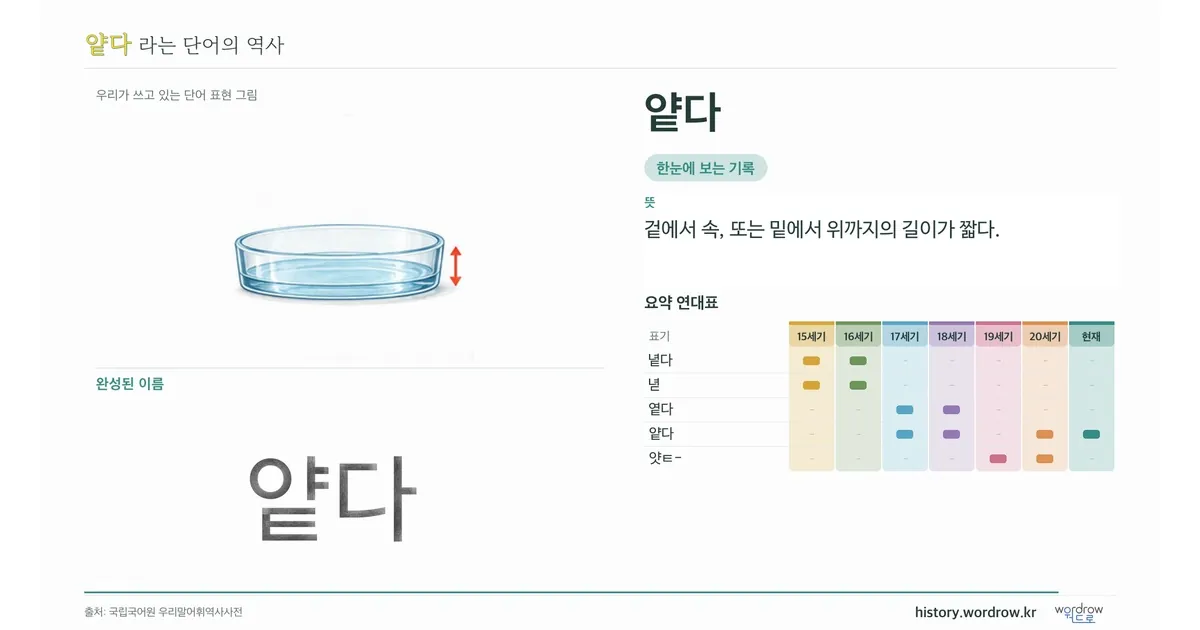 얕다 대표 이미지