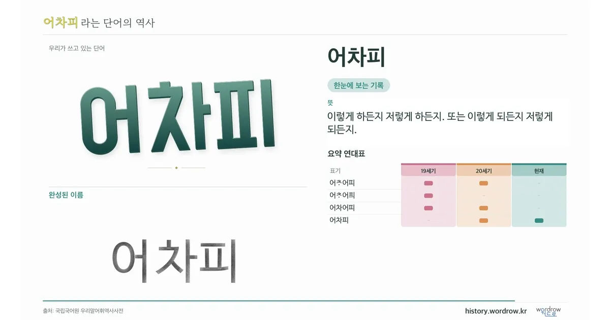 어차피 대표 이미지