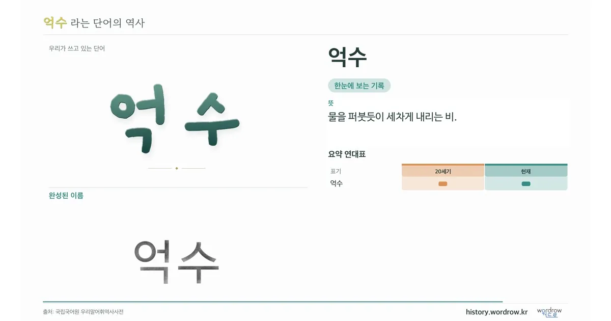 억수 대표 이미지