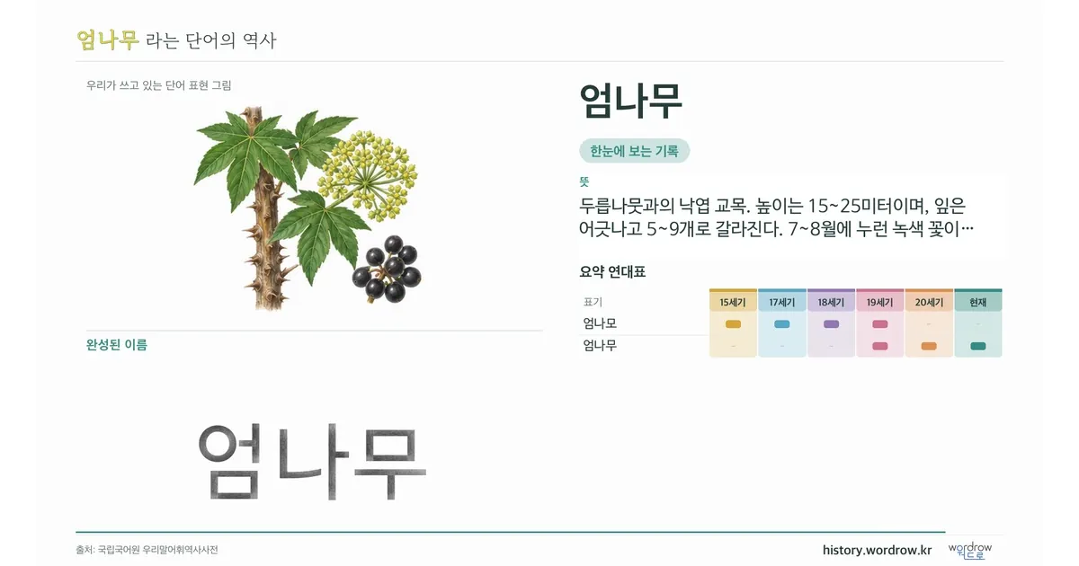 엄나무 대표 이미지