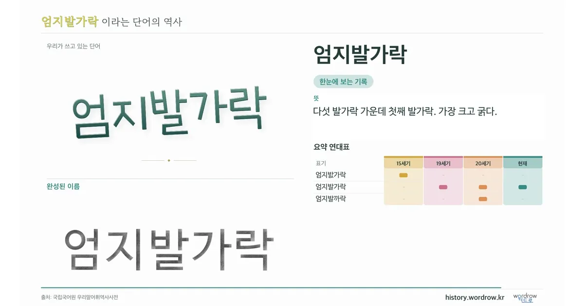 엄지발가락 대표 이미지