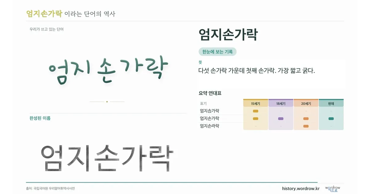엄지손가락 대표 이미지