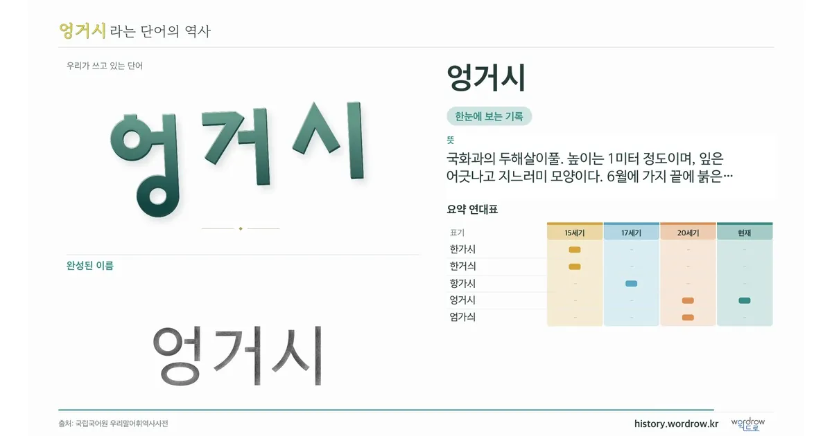 엉거시 대표 이미지