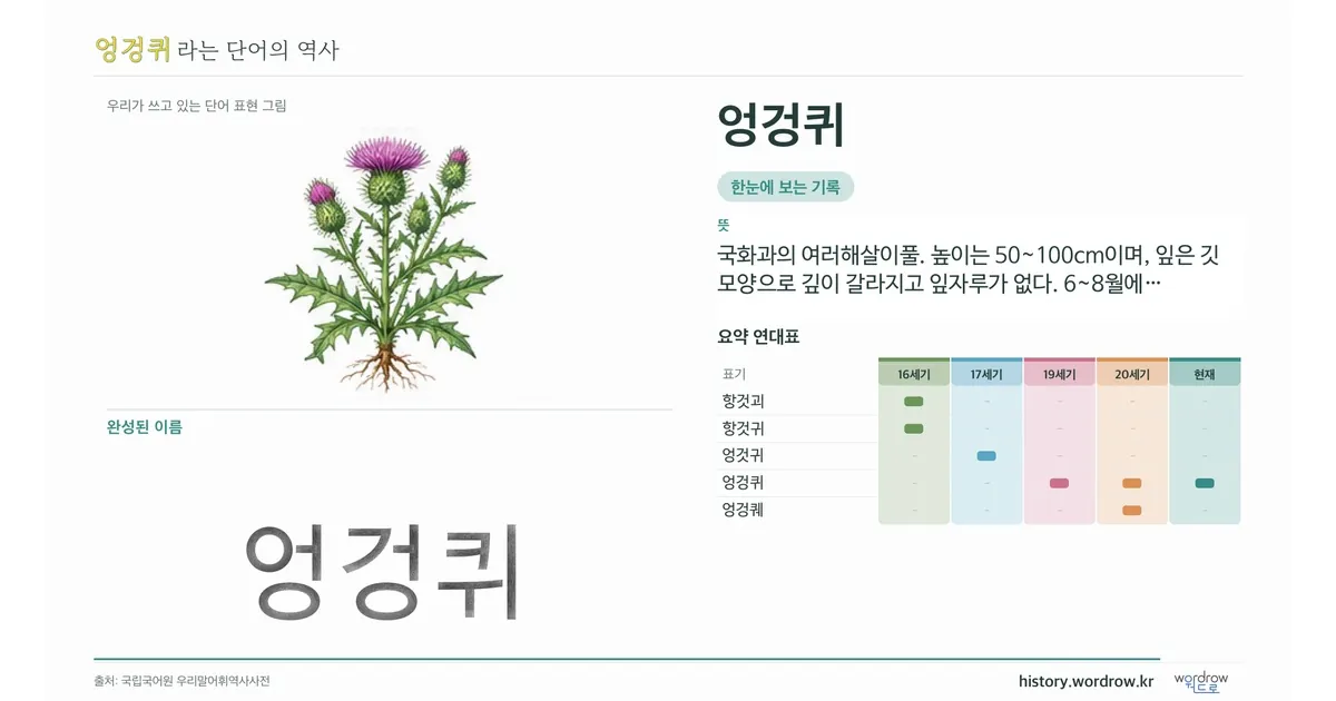 엉겅퀴 대표 이미지