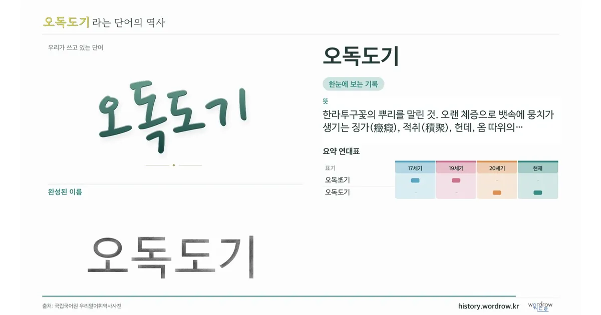 오독도기 대표 이미지