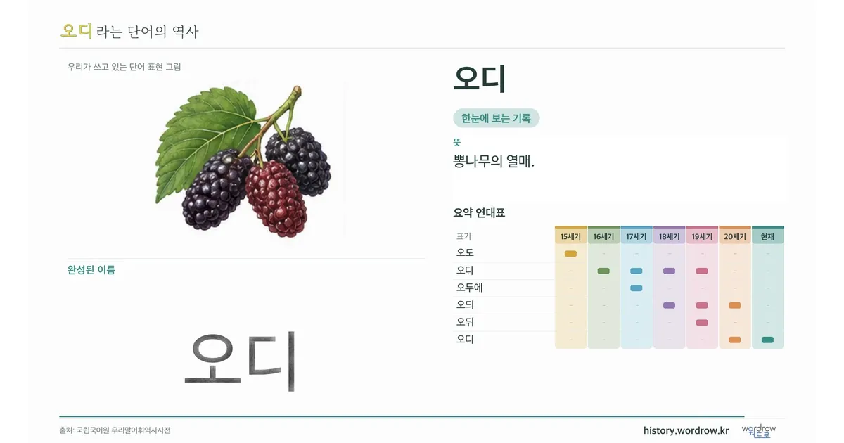 오디 대표 이미지